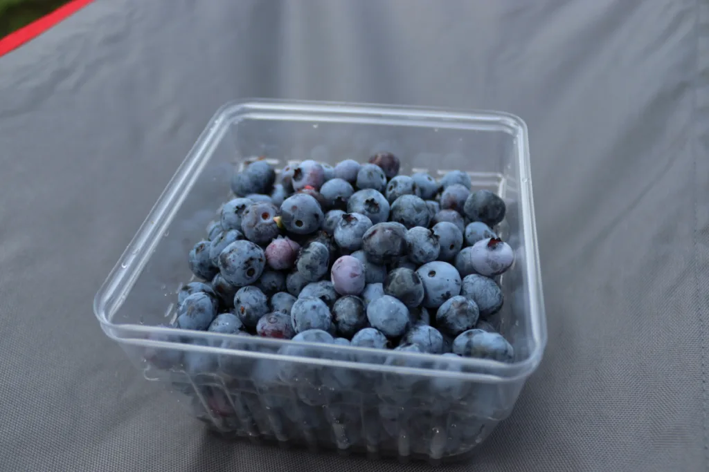 A box of fresh blueberries-Keep produce fresh longer