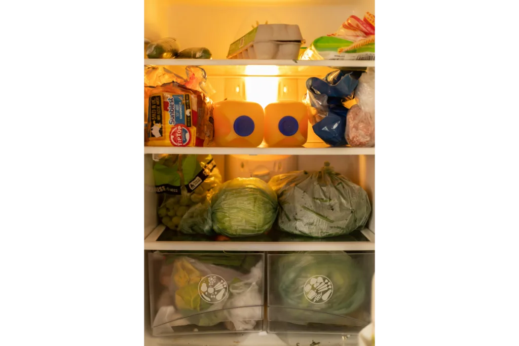 Fridge filled with veggies to Keep produce fresh longer